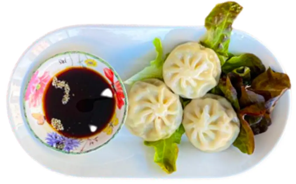 Dumpling with Vegi(3)