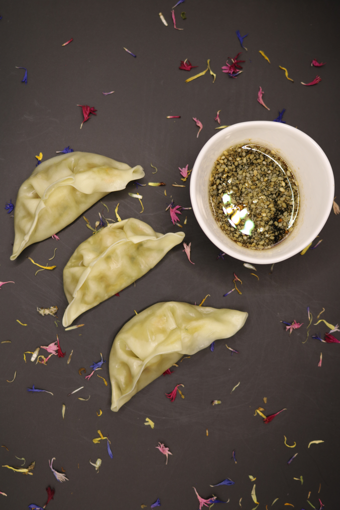 [1] Dumpling with Chicken(1)