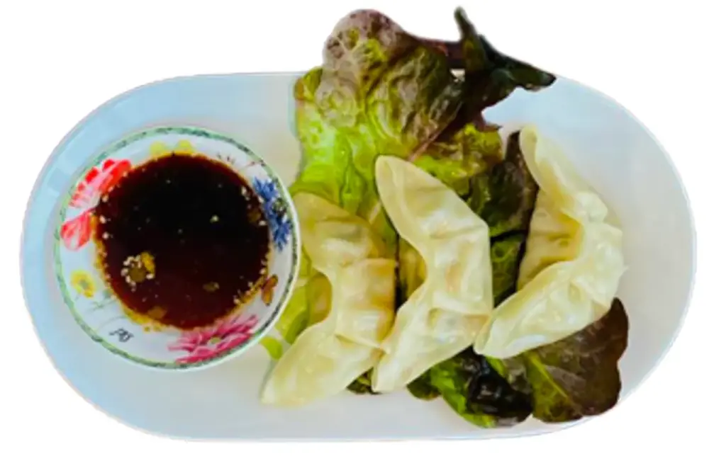 Dumpling with Chicken(1)