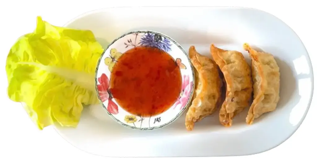Freid Dumpling with Tofu Vegan